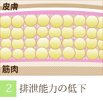 阪南市 エステサロン 美顔 小顔 排泄能力が低下した細胞。（ラジオ波 フェイシャルトリートメントの流れ）